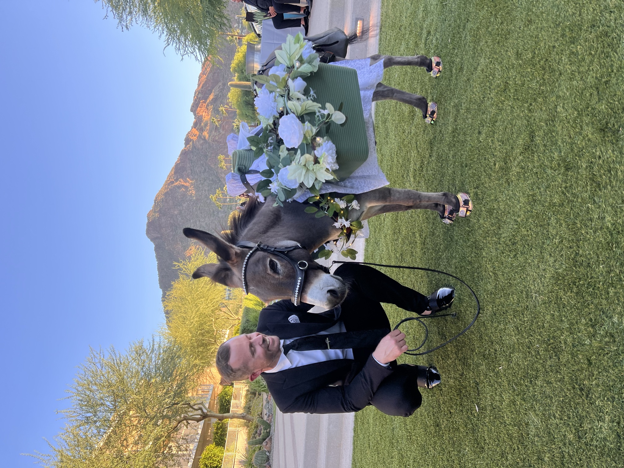 Wedding guest taking a selfie with a donkey outside